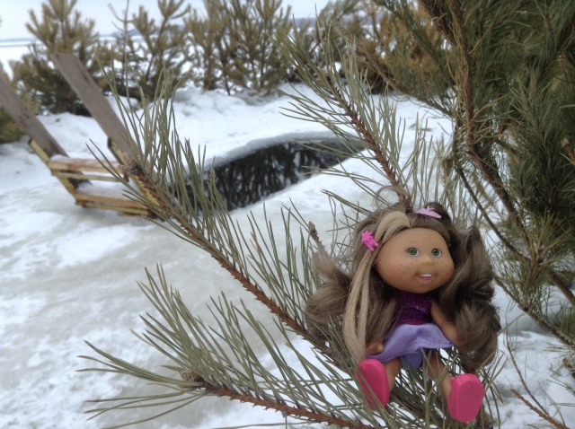 Зимняя фотосессия Копытки (Schalkau ) и капустки Лилочки Cabbage (фото 5)