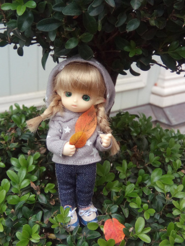 Юлька в Питере — Куклы Brownie (Брауни) Felix Doll: Tiny BJD (БЖД) (фото 3)