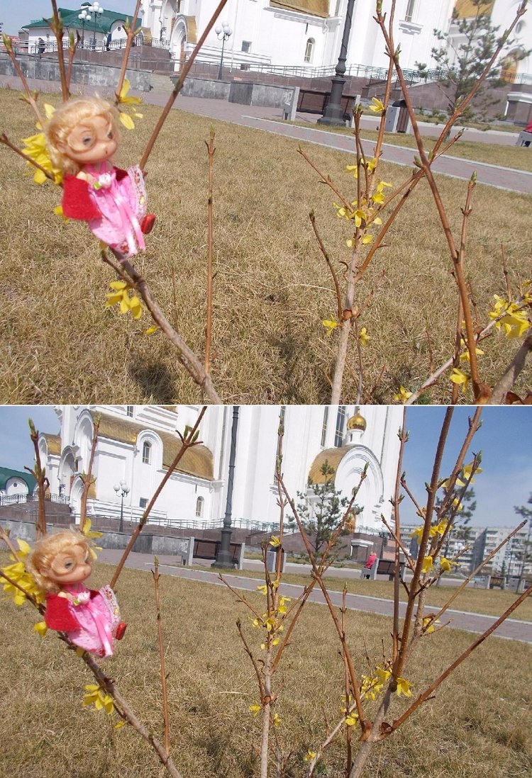 Весеннее — Куклы Ddung (Дданг): Корейские пупсы (фото 2)