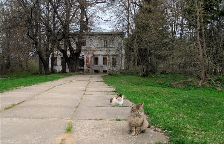 Майский день в Митино — Туризм и путешествия: фотоотчеты из поездок