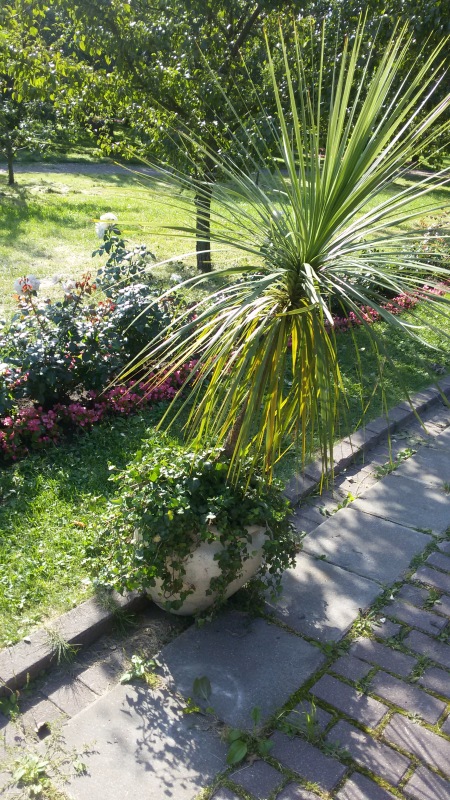 "Есть на Москве места такие..." ч.2. Тайны Коломенского оврага