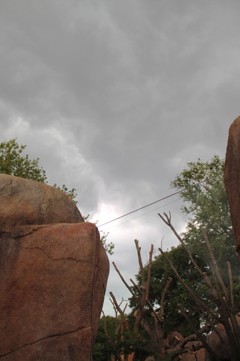 По Германии: зоопарк Лейпцига, часть 3