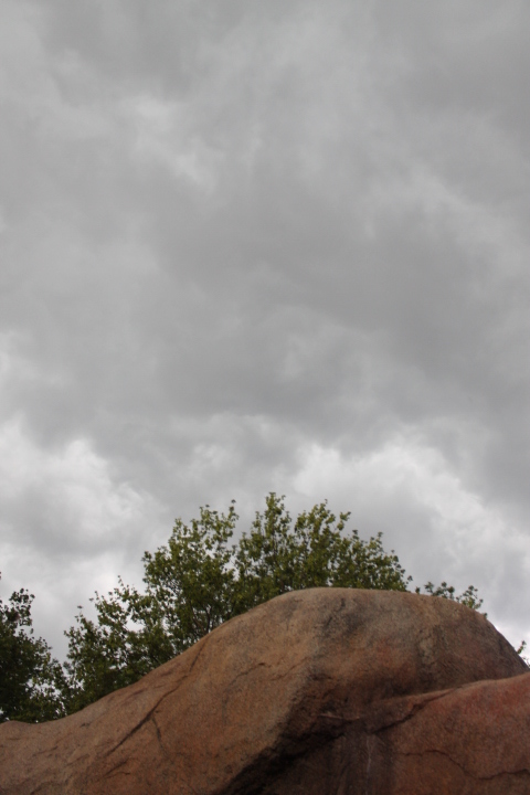 По Германии: зоопарк Лейпцига, часть 3