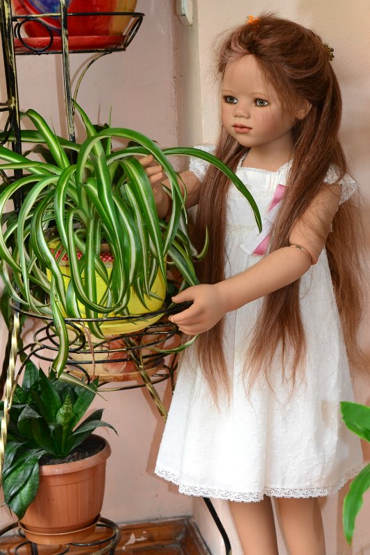 Ajescha (Аиша) от Annette Himstedt