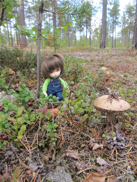 Как Майка за ягодами ходила. Кукла БЖД | Бэйбики Как Майка за ягодами ходила. Кукла БЖД