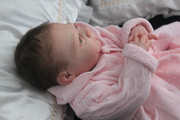 Девочка Ника. Куколка реборн Вишни Виктории (фото 2)