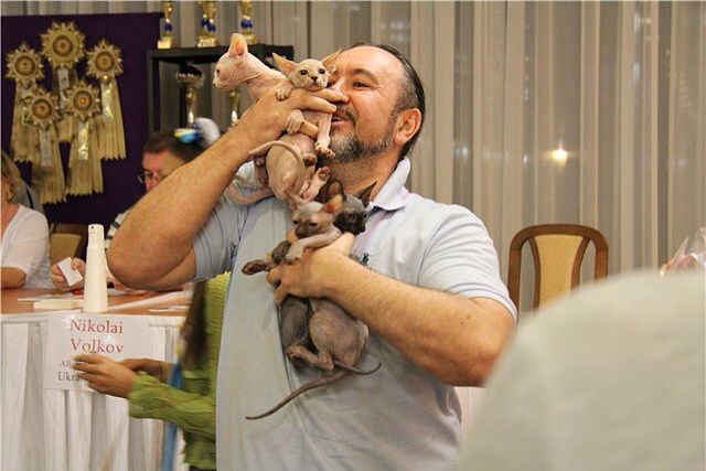 Без кота и жизнь не та — Болталка и разговоры обо всем: жизнь