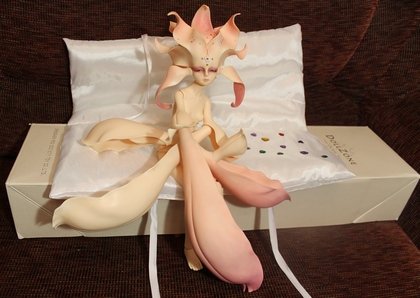 Первый Весенний Цветок! Anson, Dollzone (фото 8)