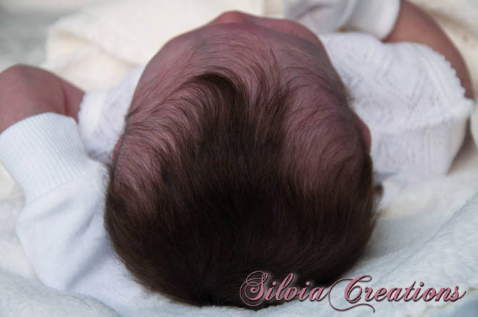 Новый молд Will от Натали Шолль