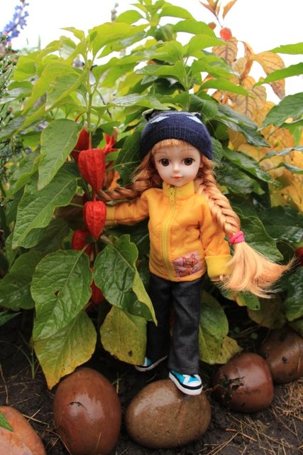 По грибы. Бузулукский бор