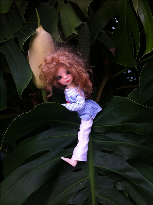 Большое путешествие маленькой девочки. Kaye Wiggs, Nutmeg