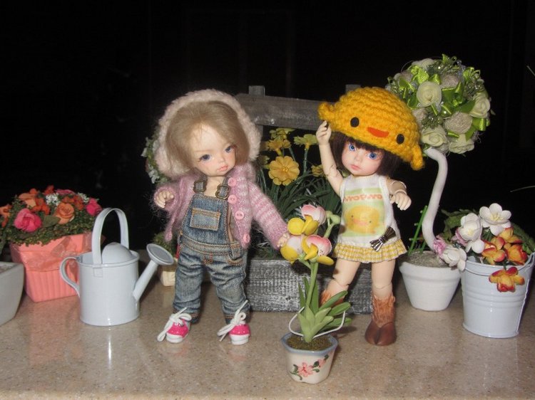 Две сестренки от DollZone-Deer и Dongdong