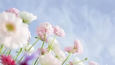 Марселька и тролли рассаду сажали, а бабочка с пчелкой им помогали... По следам конкурса "Моя Весна"