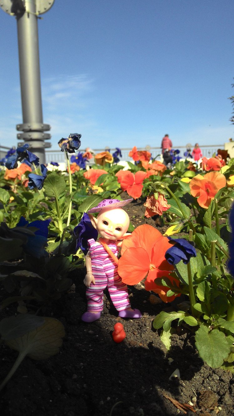 Кто живет в моей сумке — Куклы Fairyland (ФэйриЛэнд): BJD (БЖД)