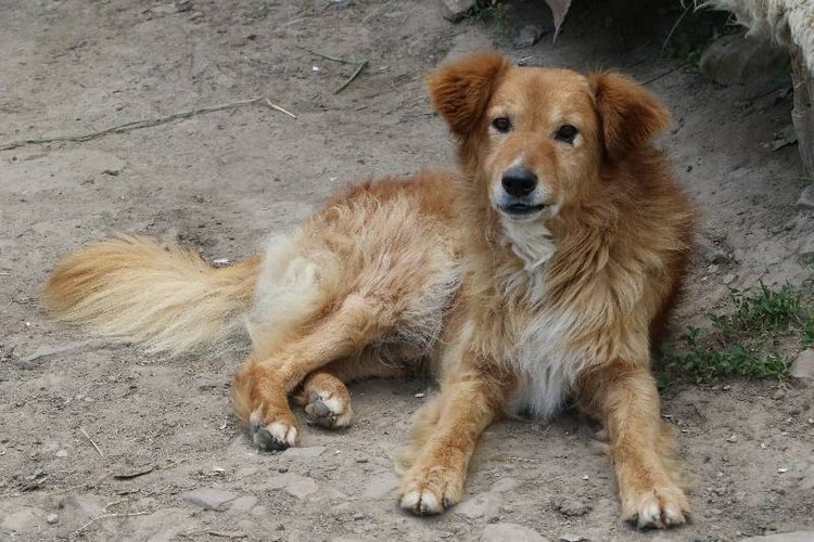 Те, кто нас любит и в домашнем халате, и без косметики, и растрепанными | Бэйбики Те, кто нас любит и в домашнем халате, и без косметики, и растрепанными (фото 7)