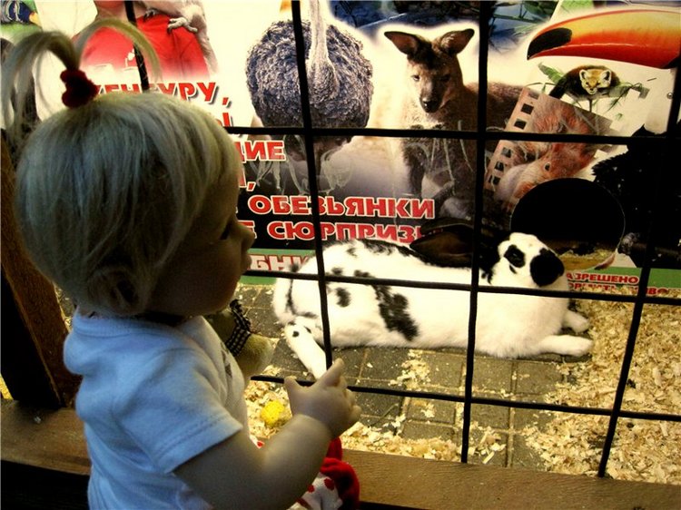 Лето. Солнце. Море. Всё смешалось - звери, куклы. Часть2 | Бэйбики Лето. Солнце. Море. Всё смешалось - звери, куклы. Часть2