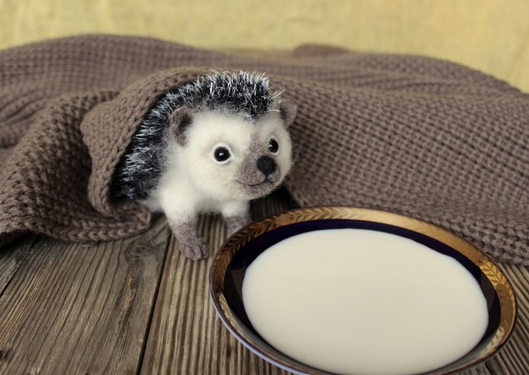 Ежуня. Валяние из шерсти — Валяные игрушки из шерсти: сухое валяние (фото 10)