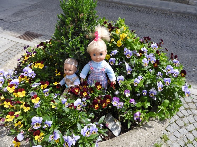 Словения, Светланка и маленький «герой» в одном ботинке