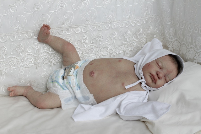 Сиренити от Екатерины Бойковой. Serenity Laura Lee Eagles