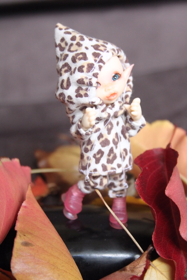 Осень в Австралии — Одежда и обувь для кукол BJD (БЖД): 1/3