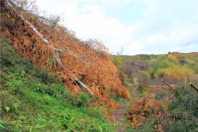 Тверской Водопад — Туризм и путешествия: фотоотчеты из поездок