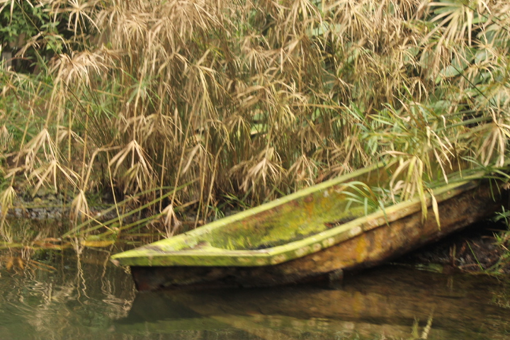 По Германии: зоопарк Лейпцига, часть 2