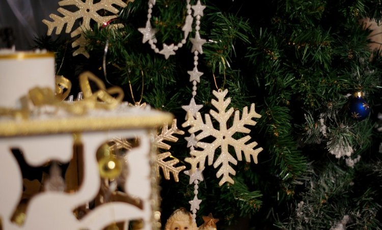 Праздничный фонарь — Другие хобби и увлечения: сад (фото 9)