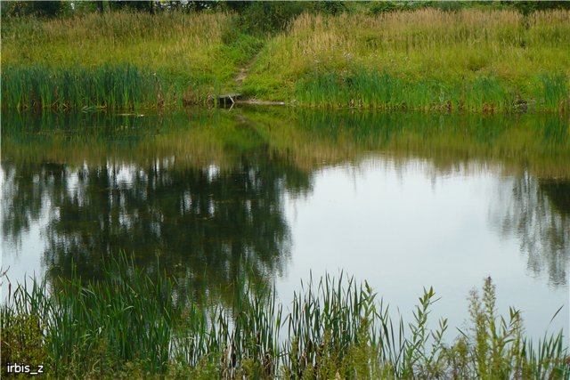 Осенняя сказка. Часть 1. (PukiFee Ante Ариэтти, PukiFee Bonnie Ариэль) | Бэйбики Осенняя сказка. Часть 1. (PukiFee Ante Ариэтти, PukiFee Bonnie Ариэль) (фото 6)