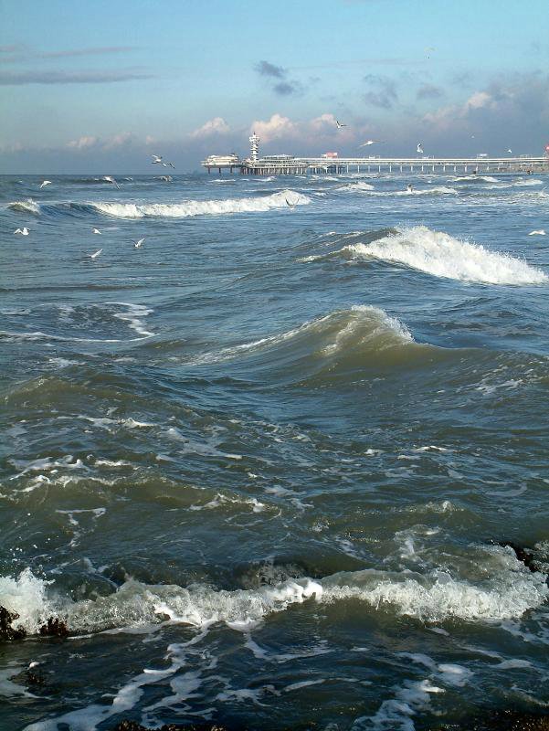 Путешествие по Схевенингену (Scheveningen, Holland) (фото 3)