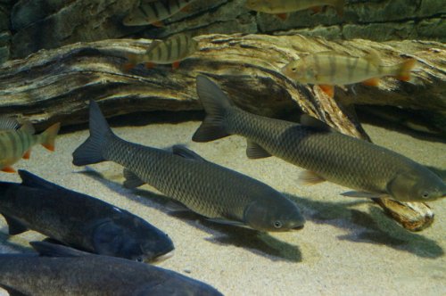 Воронежский океанариум — Туризм и путешествия: фотоотчеты из поездок