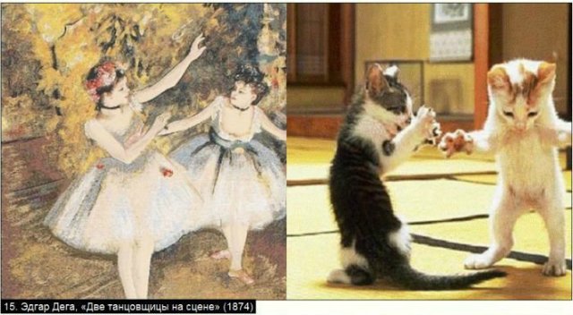 «Мяу» особого назначения или Весенняя кошкотерапия