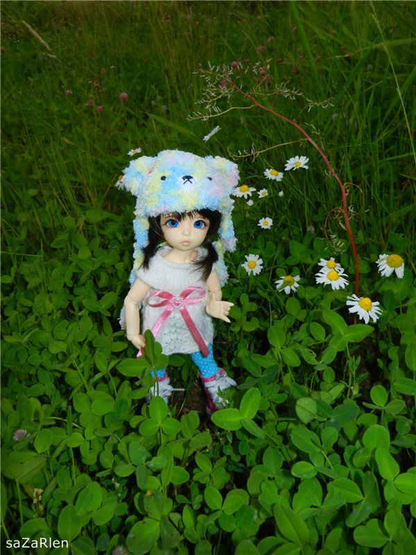 Варвара путешевственница (Литтлфи Анте)