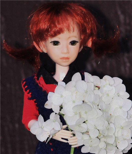 Женькин август — Куклы и тела Obitsu (Обитсу): 1/6 (фото 9)