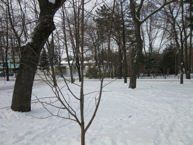 Чем бы заняться юному лорду 30 декабря