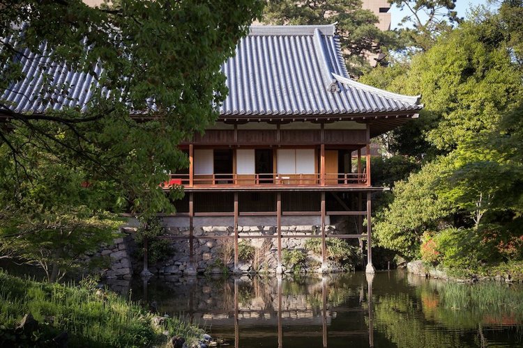 Япония моими глазами (часть 3. Китакюсю и Токио.) (фото 4)