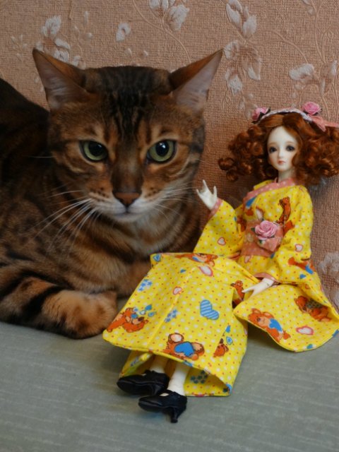 Метелька и её новый друг | Бэйбики Метелька и её новый друг — Куклы Souldoll (Соулдолл): BJD (БЖД) (фото 9)