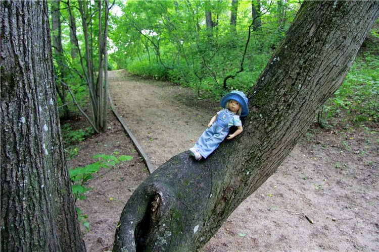 46-ой Пушкинский праздник поэзии в Берново. Часть первая