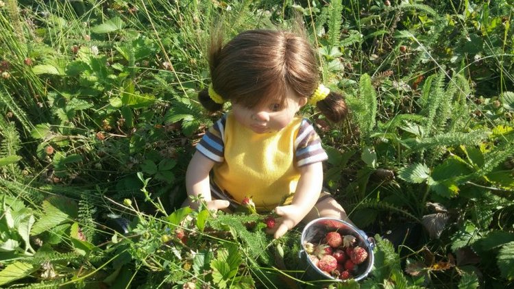 Земляничный день — Домашние коллекции кукол: фото собраний