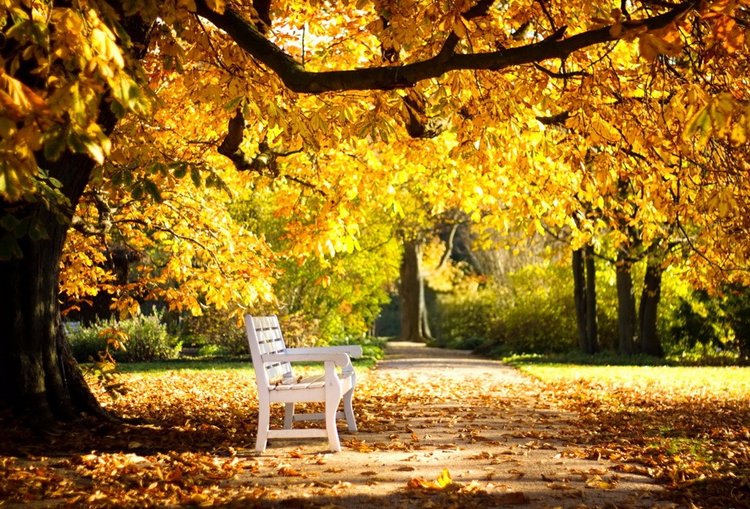 Красотка-осень — Болталка и разговоры обо всем: жизнь