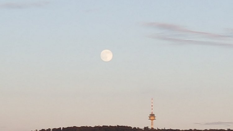 Вид из моего окна, KARLSRUHE