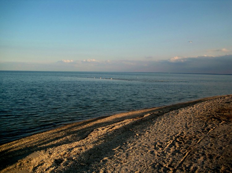 Путешествие к морю. Коллекционная кукла Фрося. Flori, Rolanda Heimer, Schildkrot (фото 9)