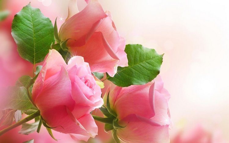 Живые цветы и куклы! С наступающим праздником