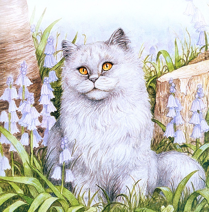 Позитивные и светлые картины Debbie Cook