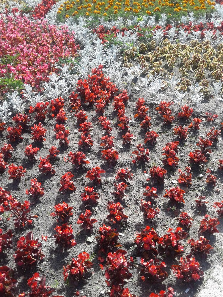 Псков: из лета в лето. Прогулки по городу и куклы