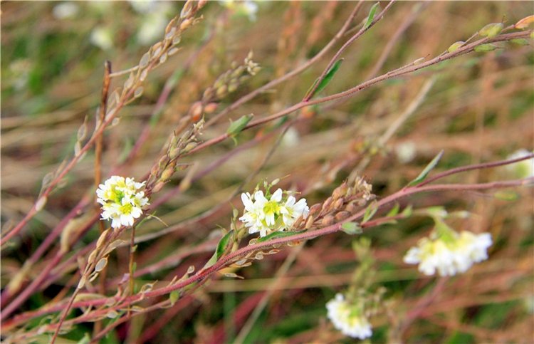 Тверской Водопад — Туризм и путешествия: фотоотчеты из поездок