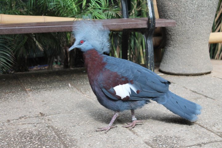 По Германии: зоопарк Лейпцига, часть 1