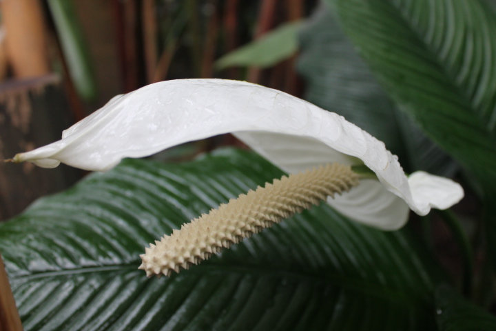 По Германии: зоопарк Лейпцига, часть 2