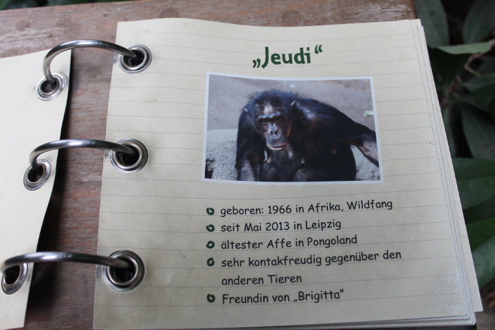 По Германии: зоопарк Лейпцига, часть 3