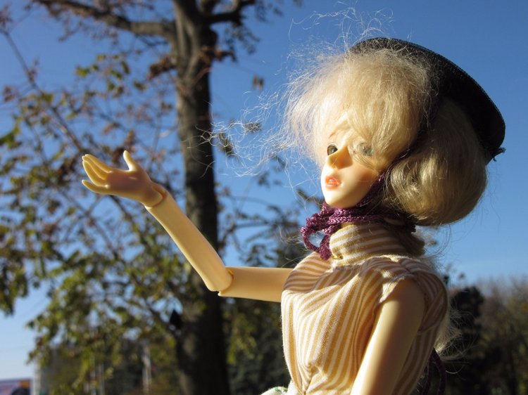 Танец умирающей осени — Куклы Soom (Сум): BJD (БЖД) (фото 10)