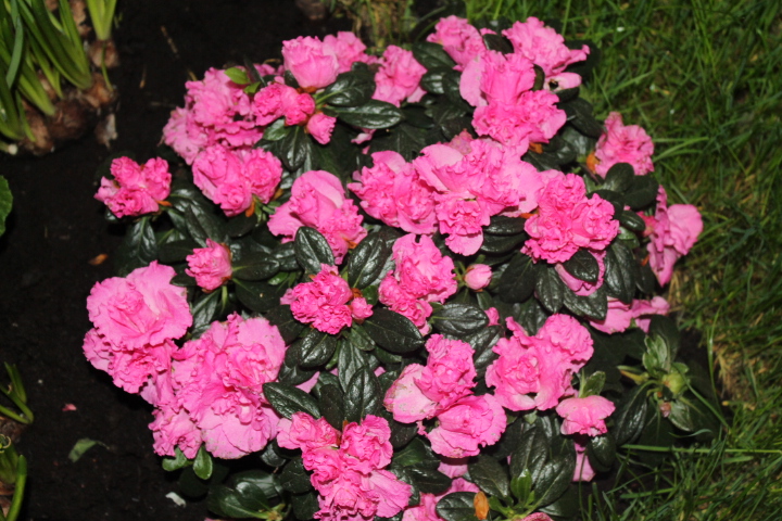 По Германии: весна в Лейпциге